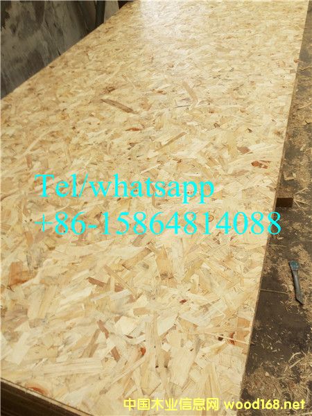 ��ľ6mm �W�ɰ�