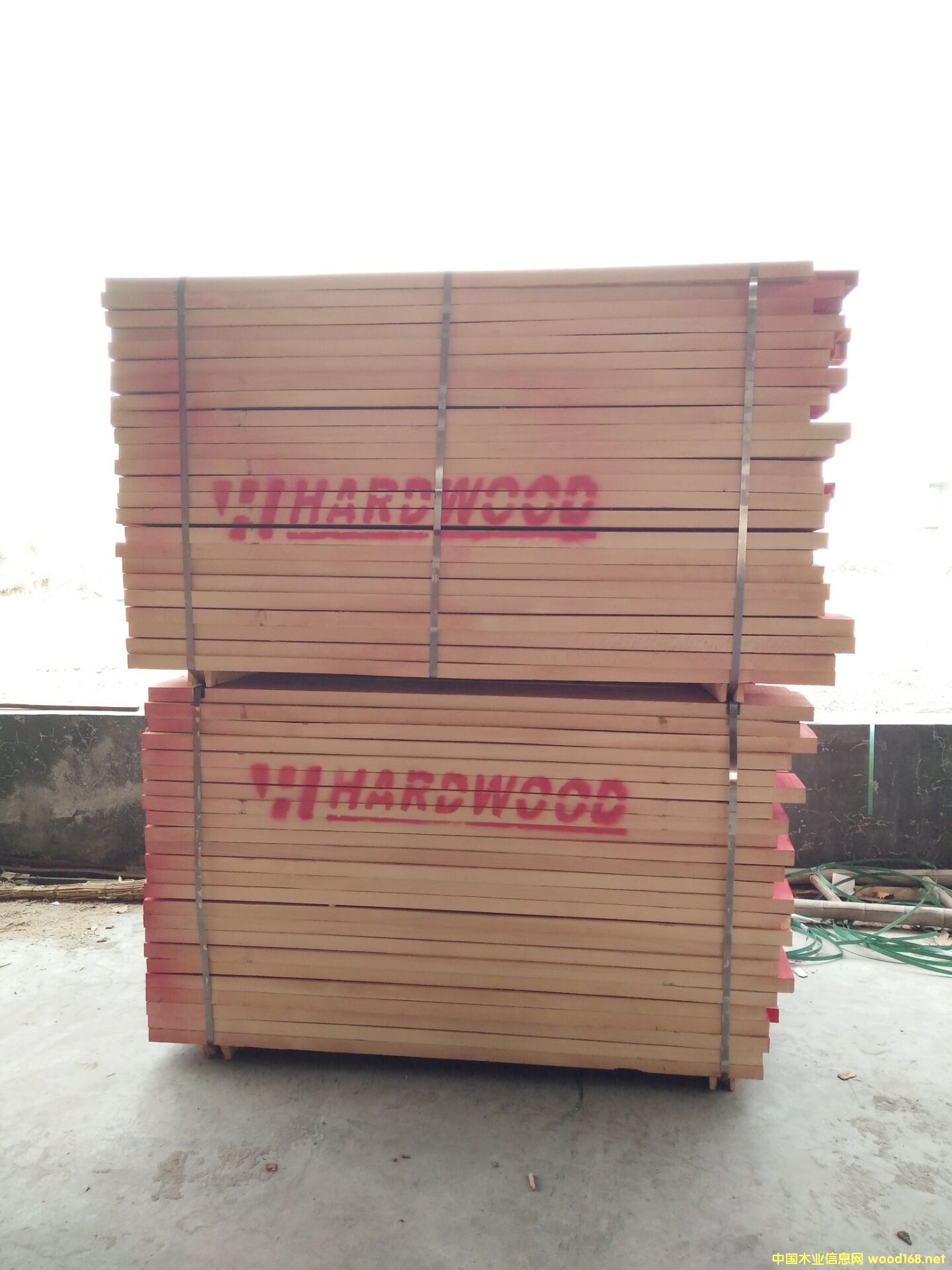 �_�R�၆��ľ