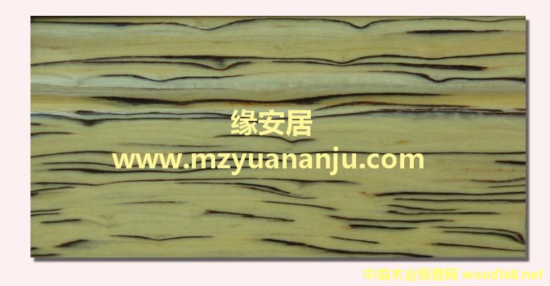 �Ƽ�ľƤˇ�g(sh��)���_��8502