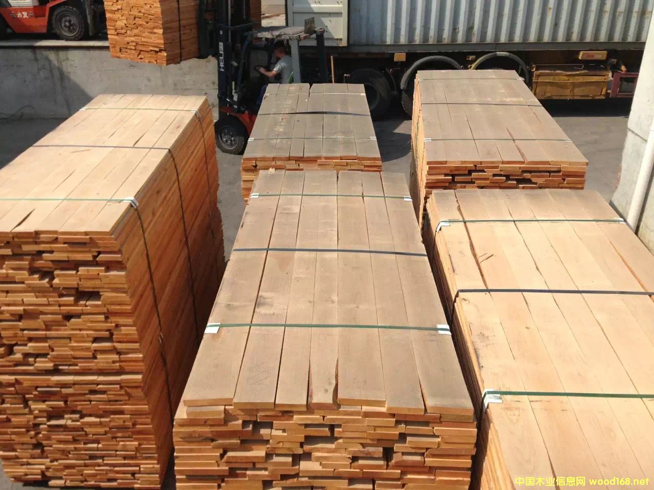 �������S��������ľ���ں���ľ��Ԕ����B