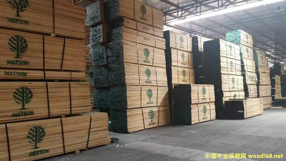 ����ľ��Ԕ����B