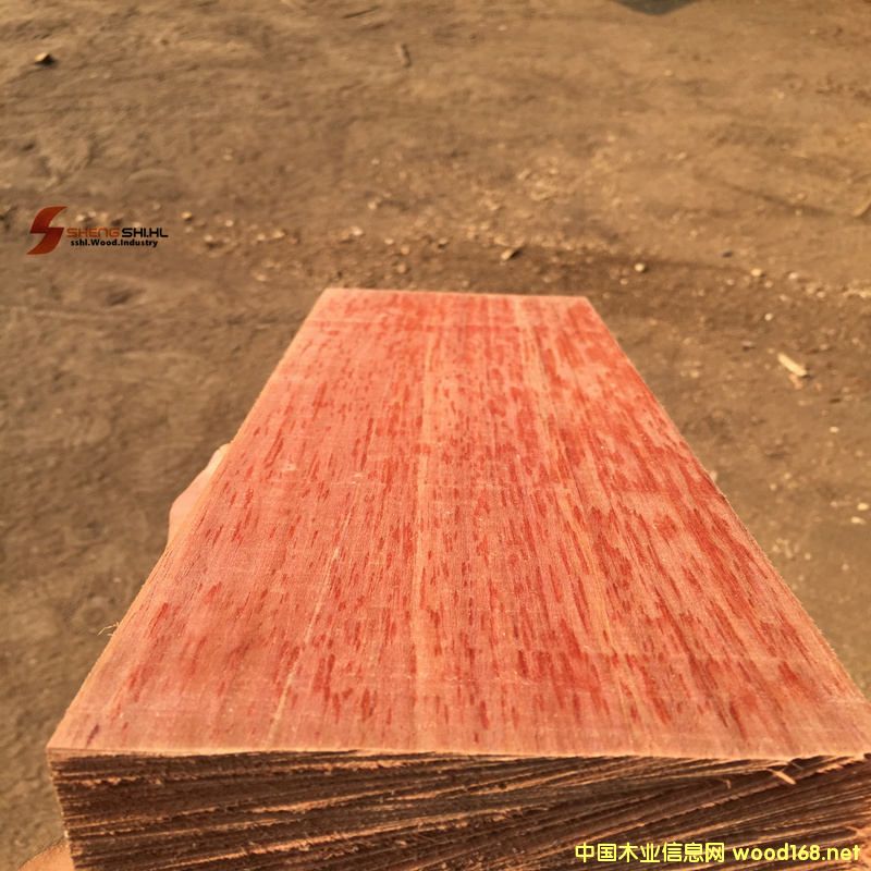 �y��ľ��Ԕ��(x��)��B