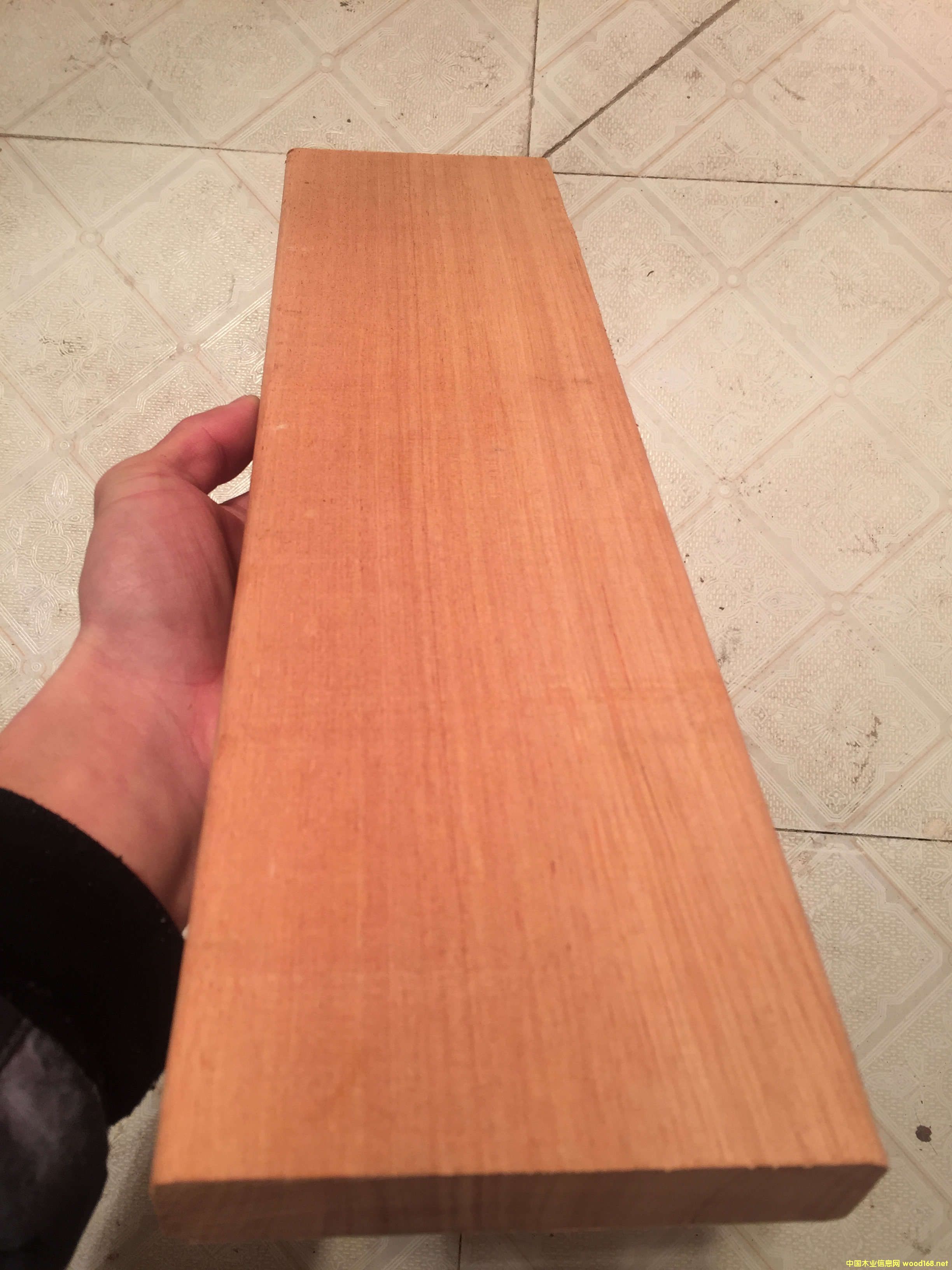 ��ľ��Ԕ��(x��)��B