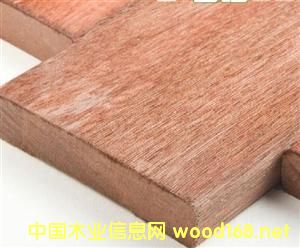 ɽ��ľ��Ԕ��(x��)��B