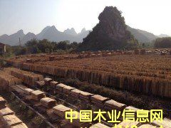 ��ľ�Aо��Ԕ����B