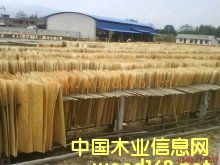 ��ľ�Aо��Ԕ����B