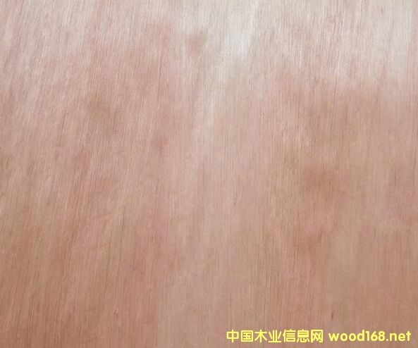 ���_(k��i)����Ԕ��(x��)��B