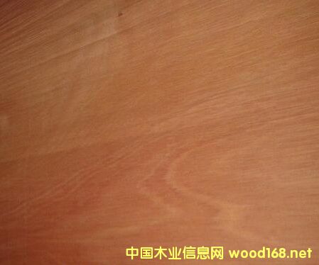 �U�P�ص�Ԕ��(x��)��B