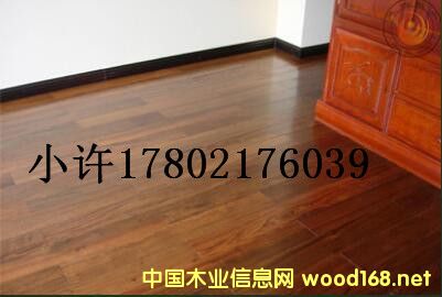 [��] ����(y��ng)�����ں���ľ