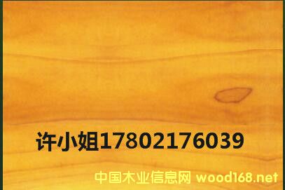 [��] ���������S��