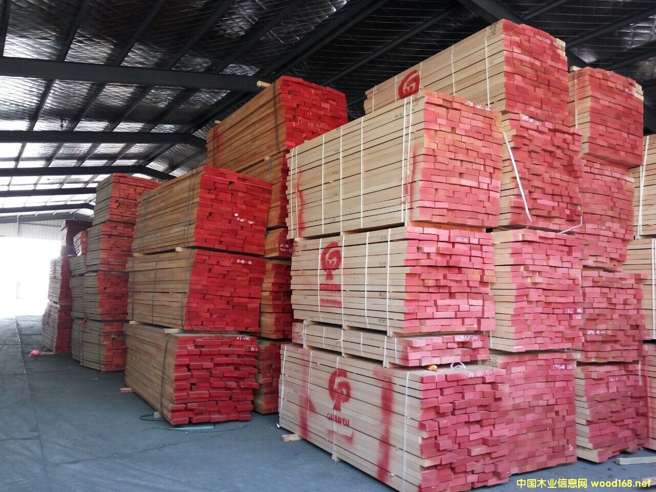 歐洲櫸木的詳細(xì)介紹