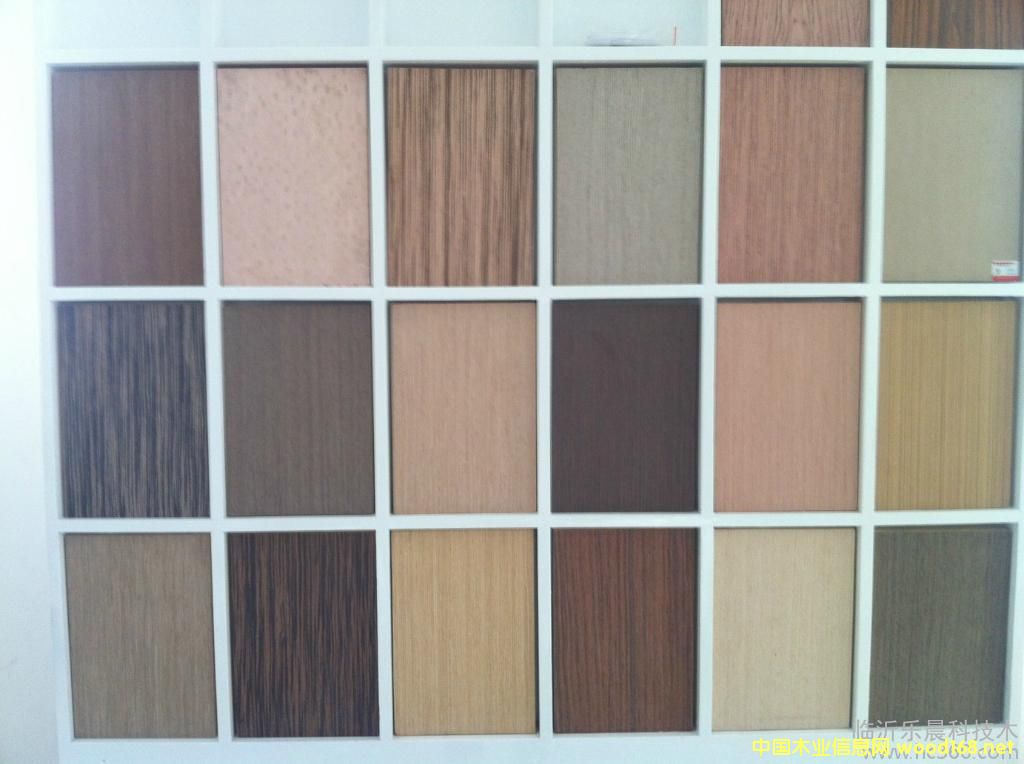 �����Ƽ�ľ