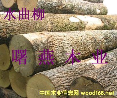 ˮ����ԭľ�������ľ��