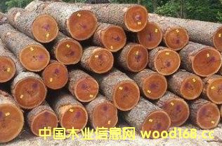 ����(gu��)����ľ