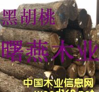 �ں���ľԭľ�������ľ��