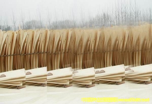 �ؼ����Ԕ����B