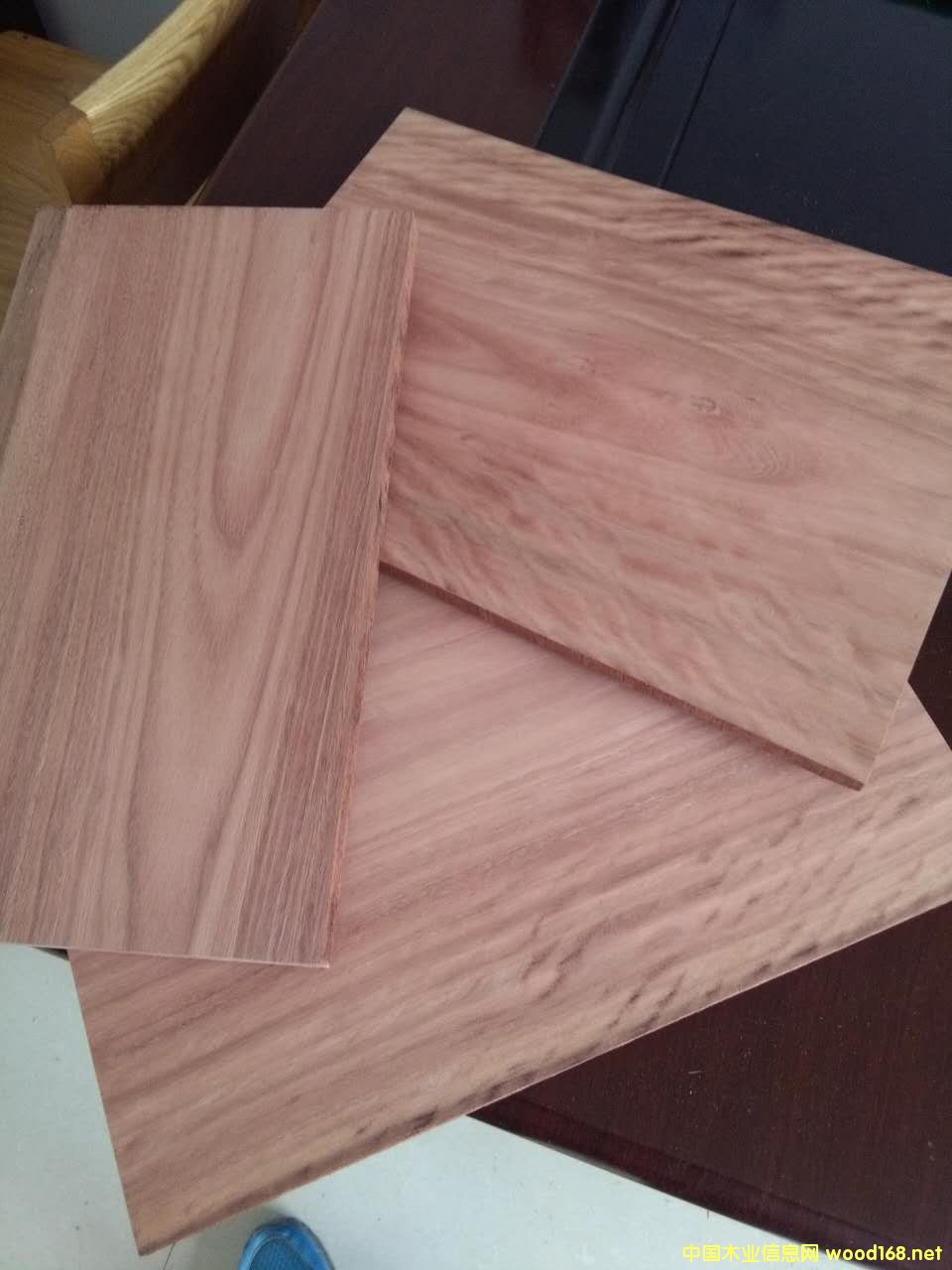 õ��ľ��Ԕ��(x��)��B