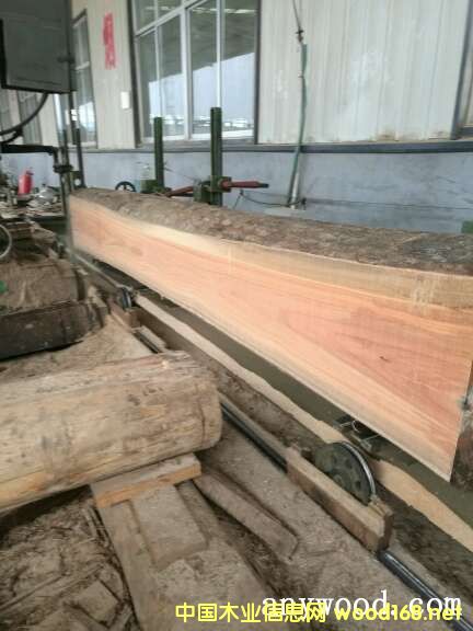 õ��ľ��Ԕ��(x��)��B