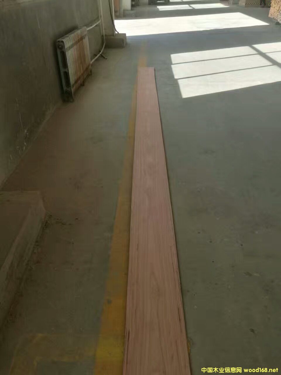 õ��ľ��Ԕ��(x��)��B