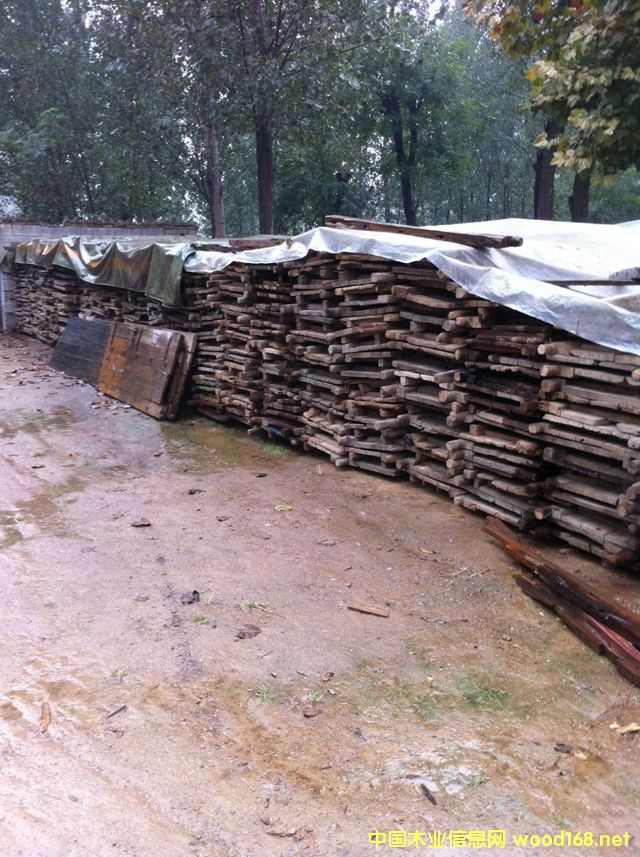 ���T��04��Ԕ��(x��)��B