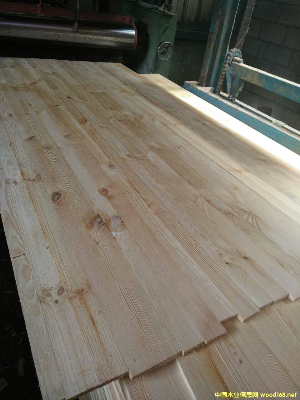 17mm���������B(t��i)���Ԕ��(x��)��B