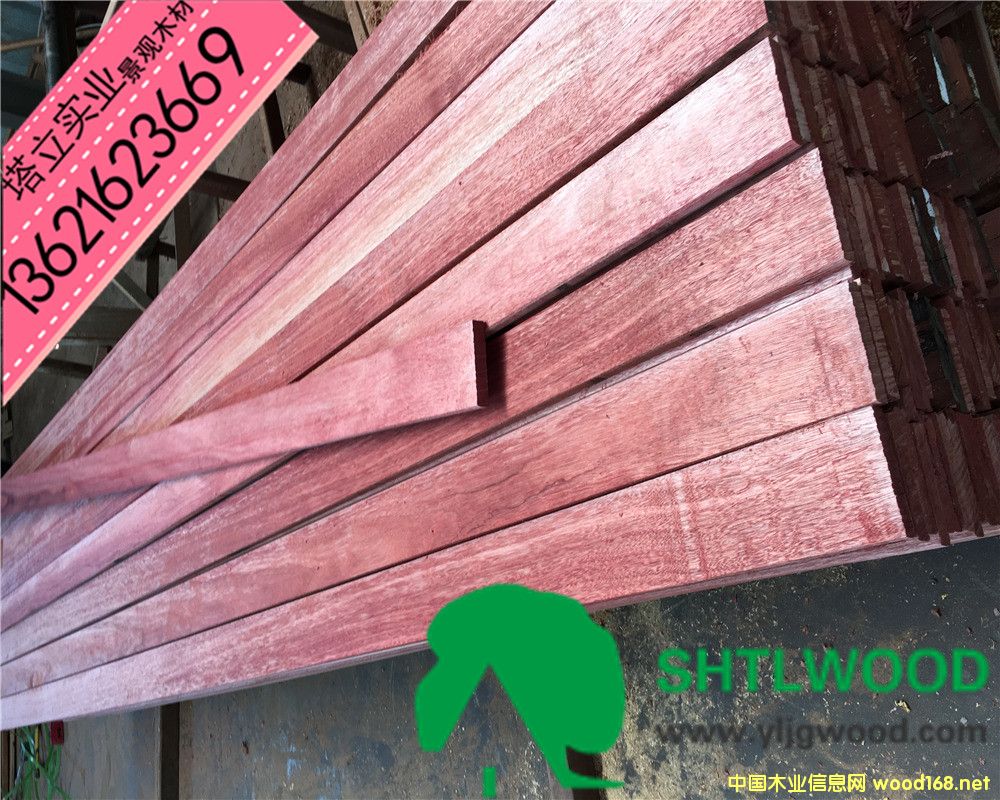 �t�����(h��)��ľ�Ĉ@�־��^(gu��n)�����ذ��y����ľ�ڂ���