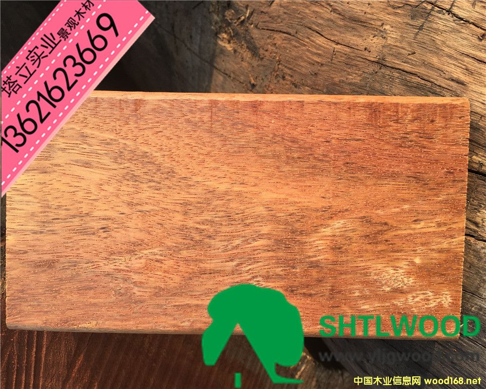 �̈́�ľ �S��ľ ľ�Y�� ���^�@�� ����ľ�ذ�