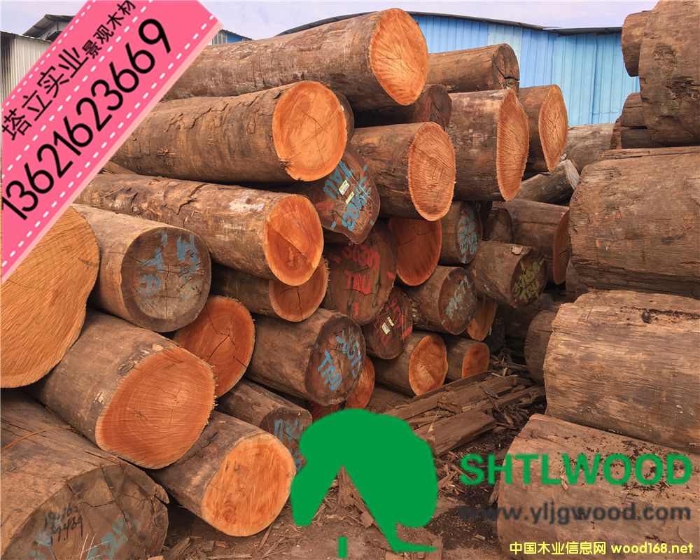 �̈́�ľ���t��ľ���t�������͵�ľ����ľ���y��ľ���ڂ�������ľ