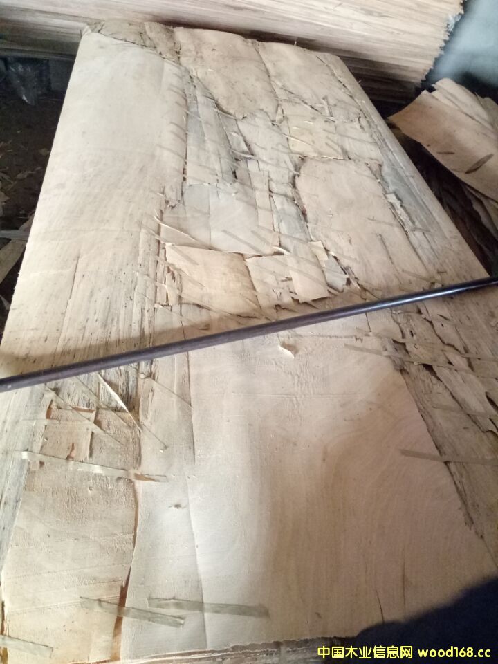 [��] �һ����L(zh��ng)�а�