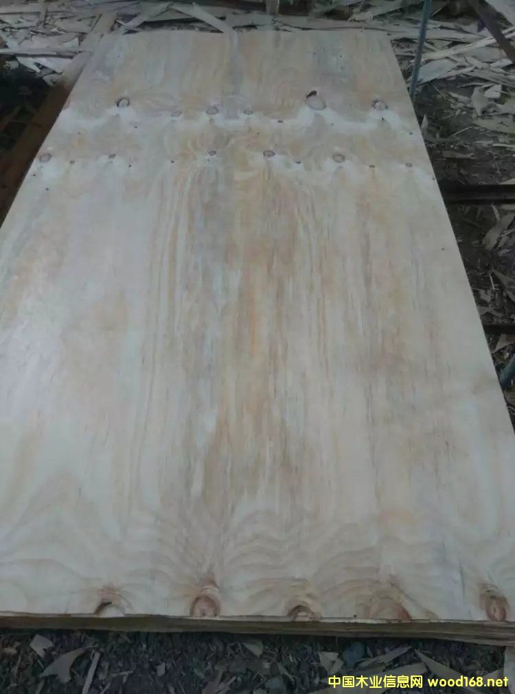 [��] ݗ�����L(zh��ng)�а�