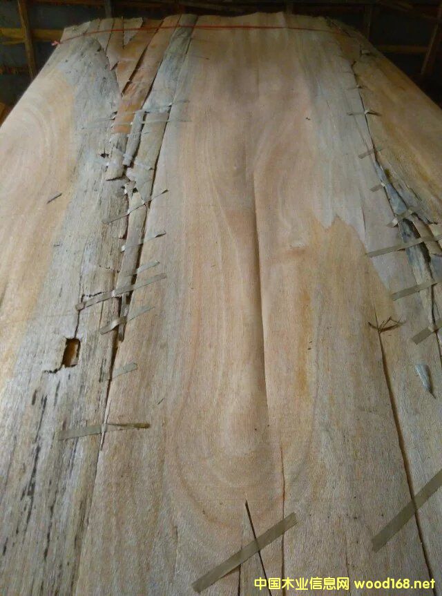 [��] �W����