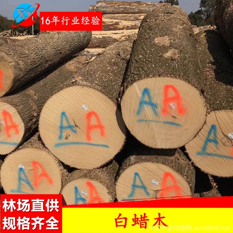 �W�ް�Ϟ?z��i)�ԭ�?  border=