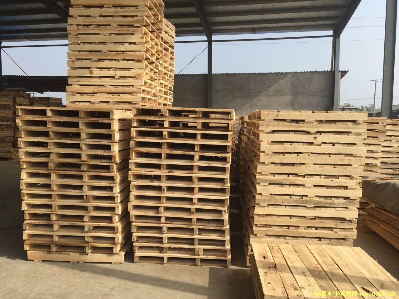 ��ľ�бP��ľ��������܇��ľ�������}�����D(zhu��n)�������l(f��)