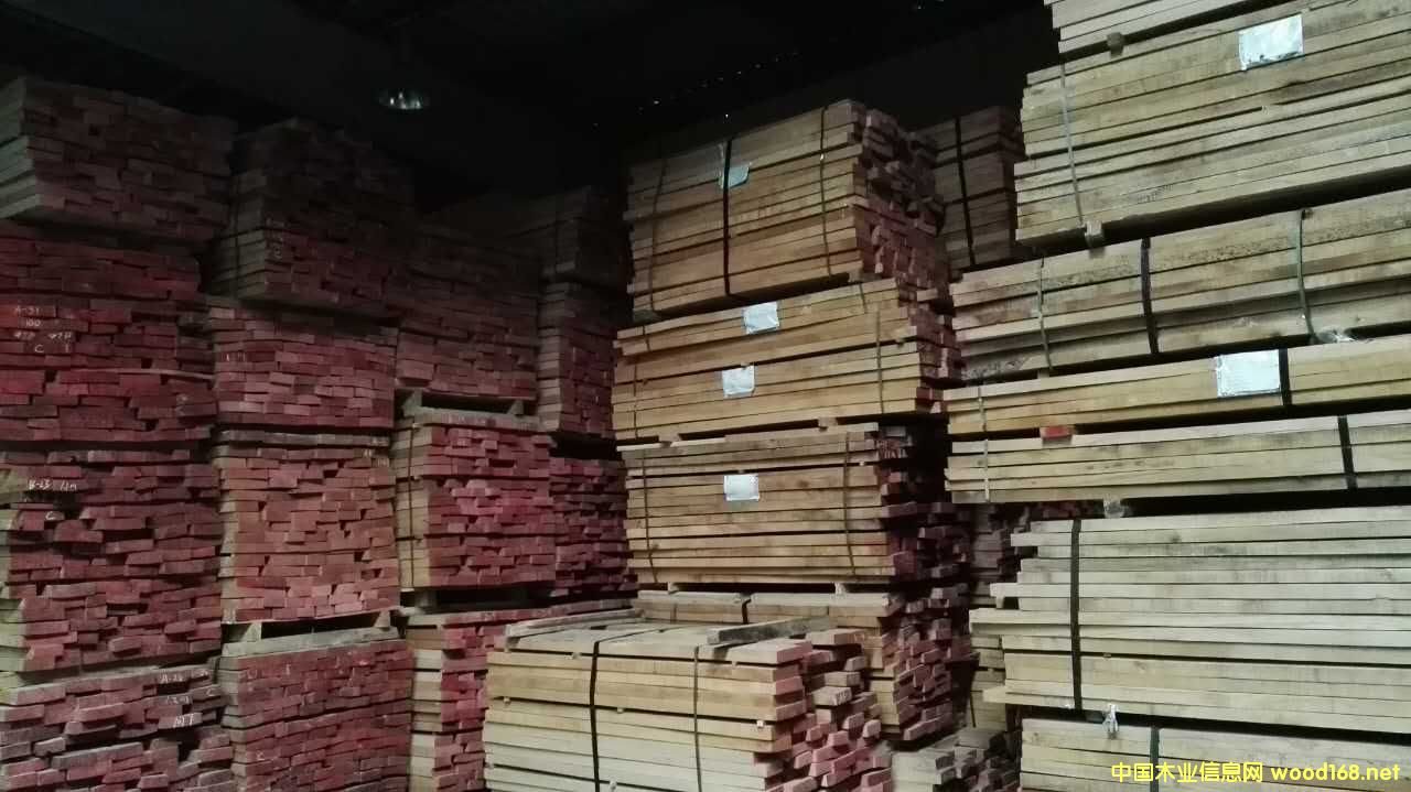 歐洲櫸木的詳細(xì)介紹