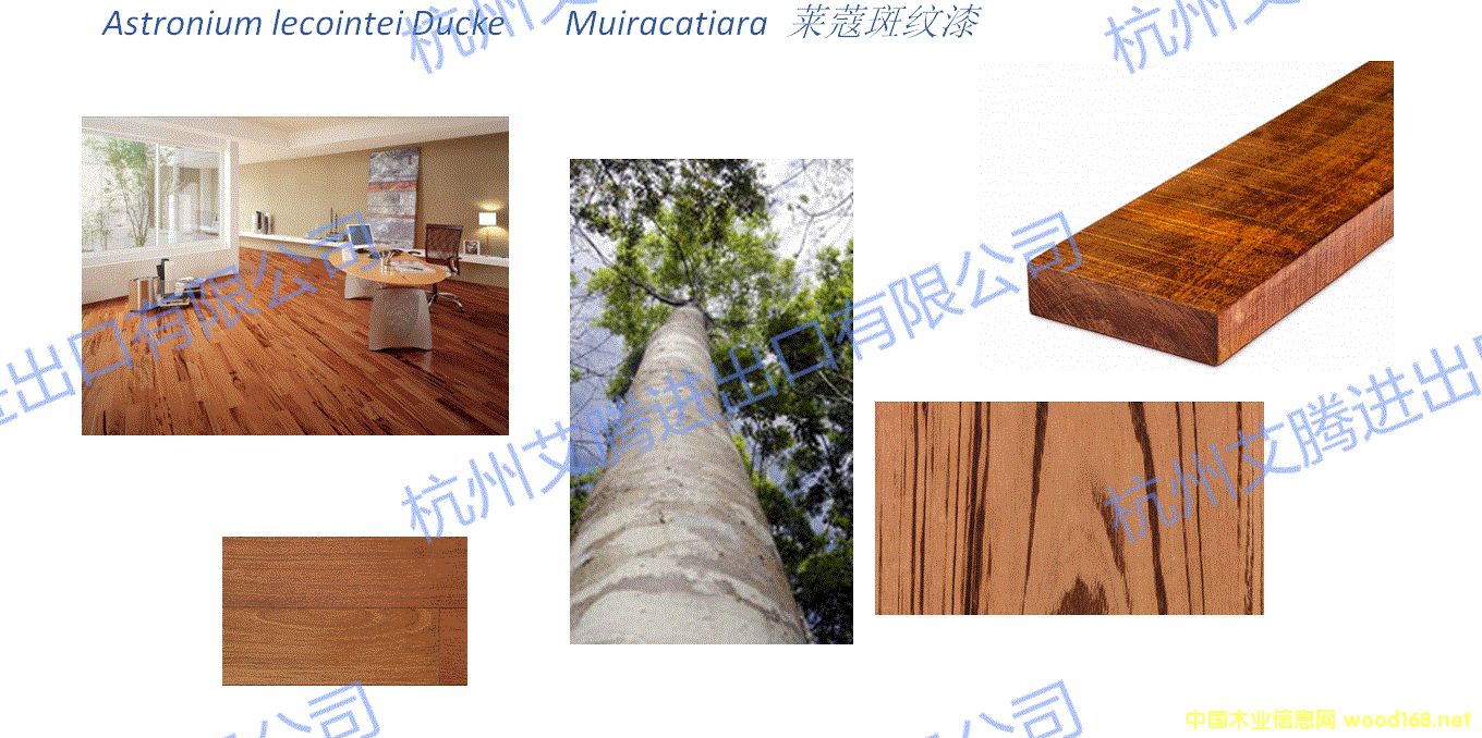 �Rޢ�߼y���Ԕ��(x��)��B