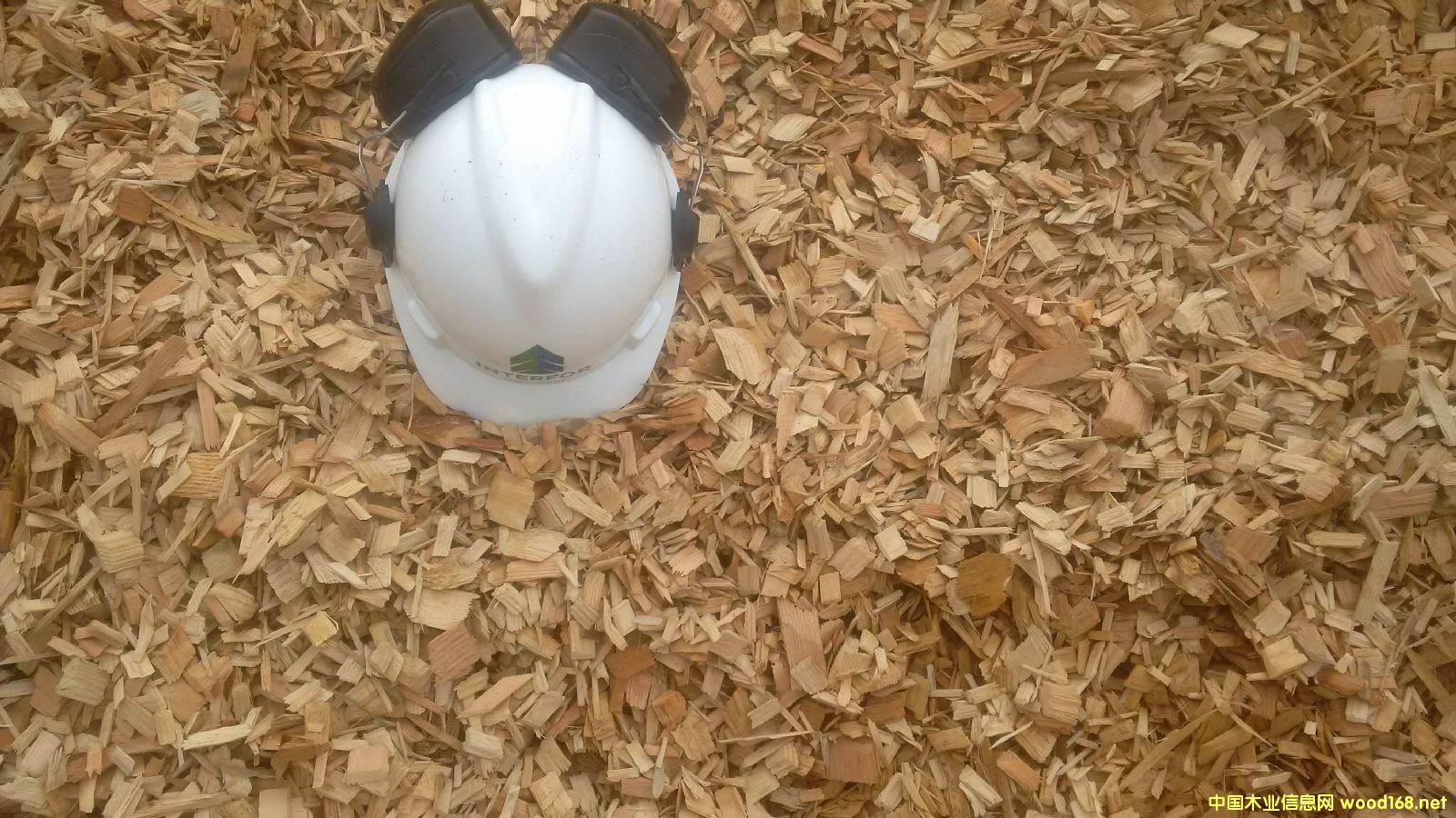 [��] �M(j��n)������(gu��)�Ϸ���ľƬ