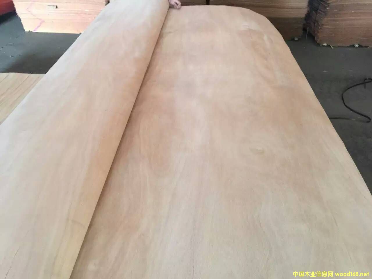 �һ�о�漈��Ԕ��(x��)��B