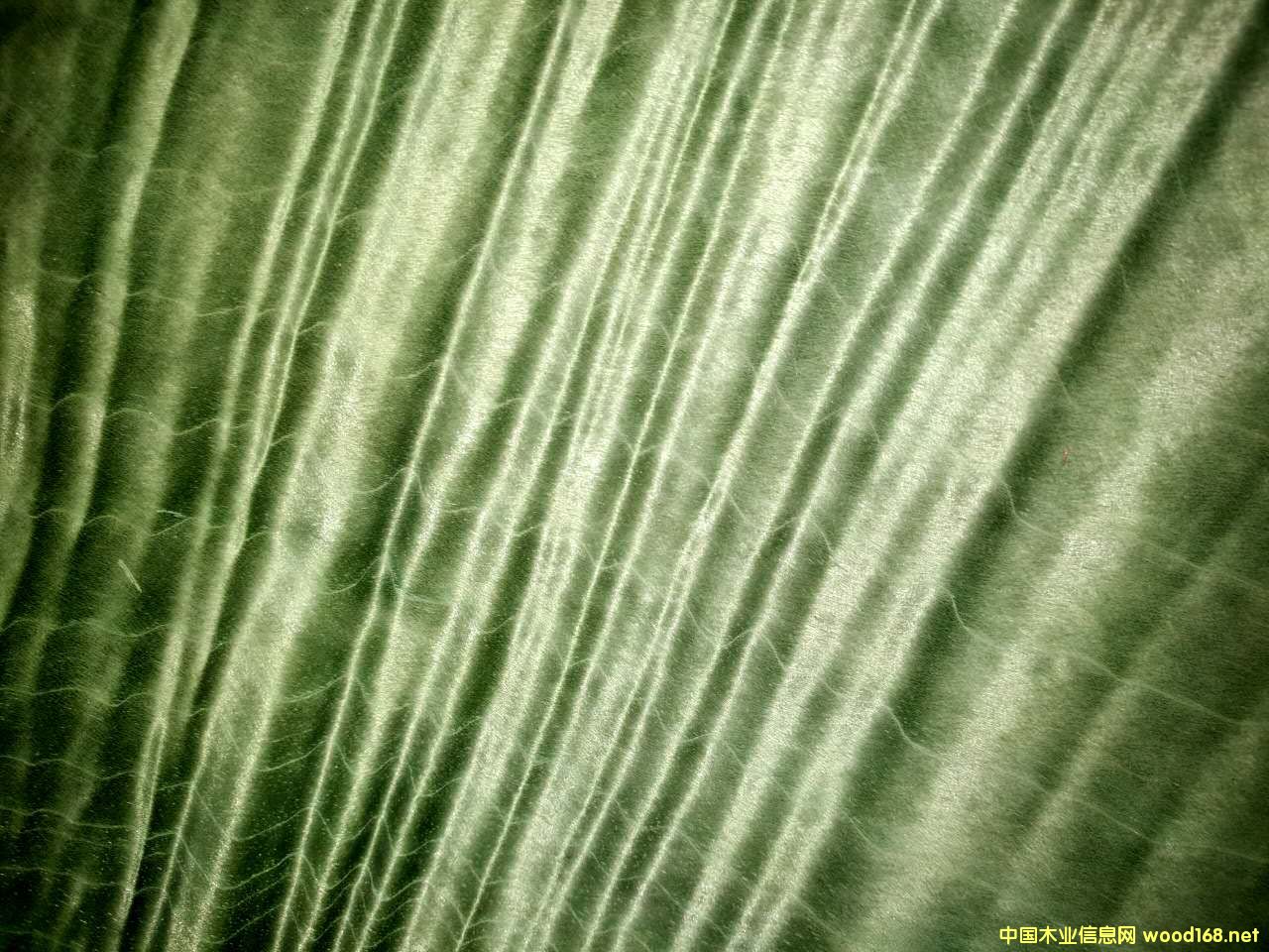 Ⱦɫ��z�ľƤ��Ԕ��(x��)��B