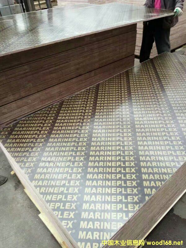 �����ߌӽ����z�ϰ�