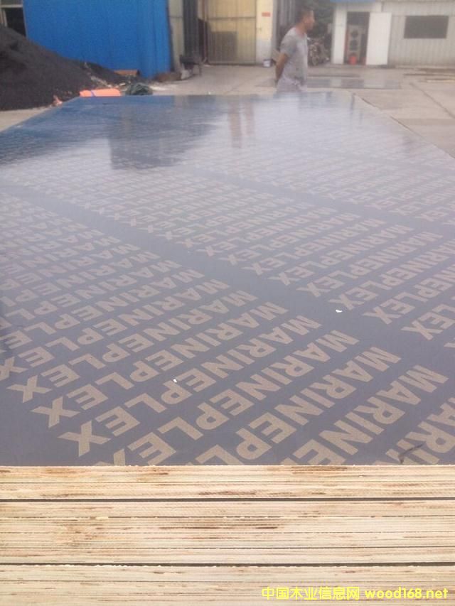 20mm 15���ɫ��Ĥ���Ӱ�