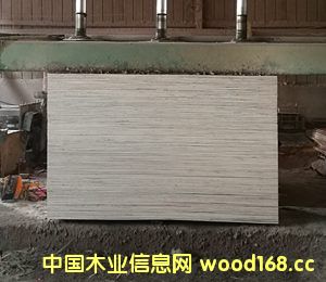 [��] �����н���ģ��r��һ�[��