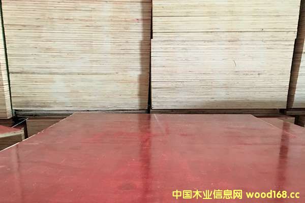 ����ģ��12