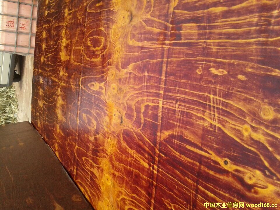 ����ģ��