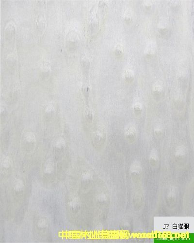 ��(l��)���Ƽ�ľ