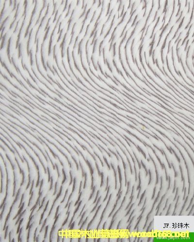 ��(l��)���Ƽ�ľ