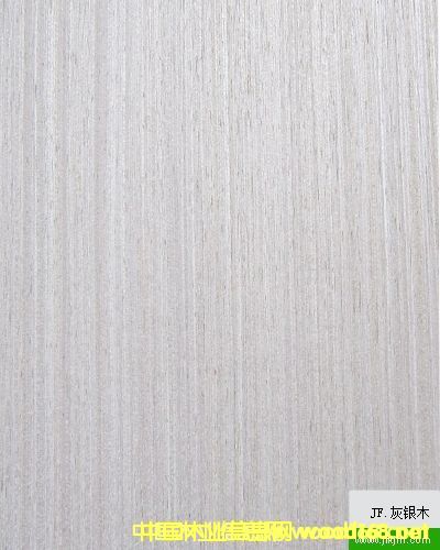 ��(l��)���Ƽ�ľ