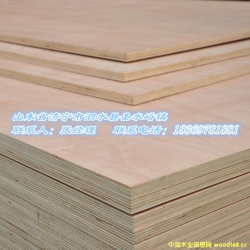 �һ�о�z�ϰ����