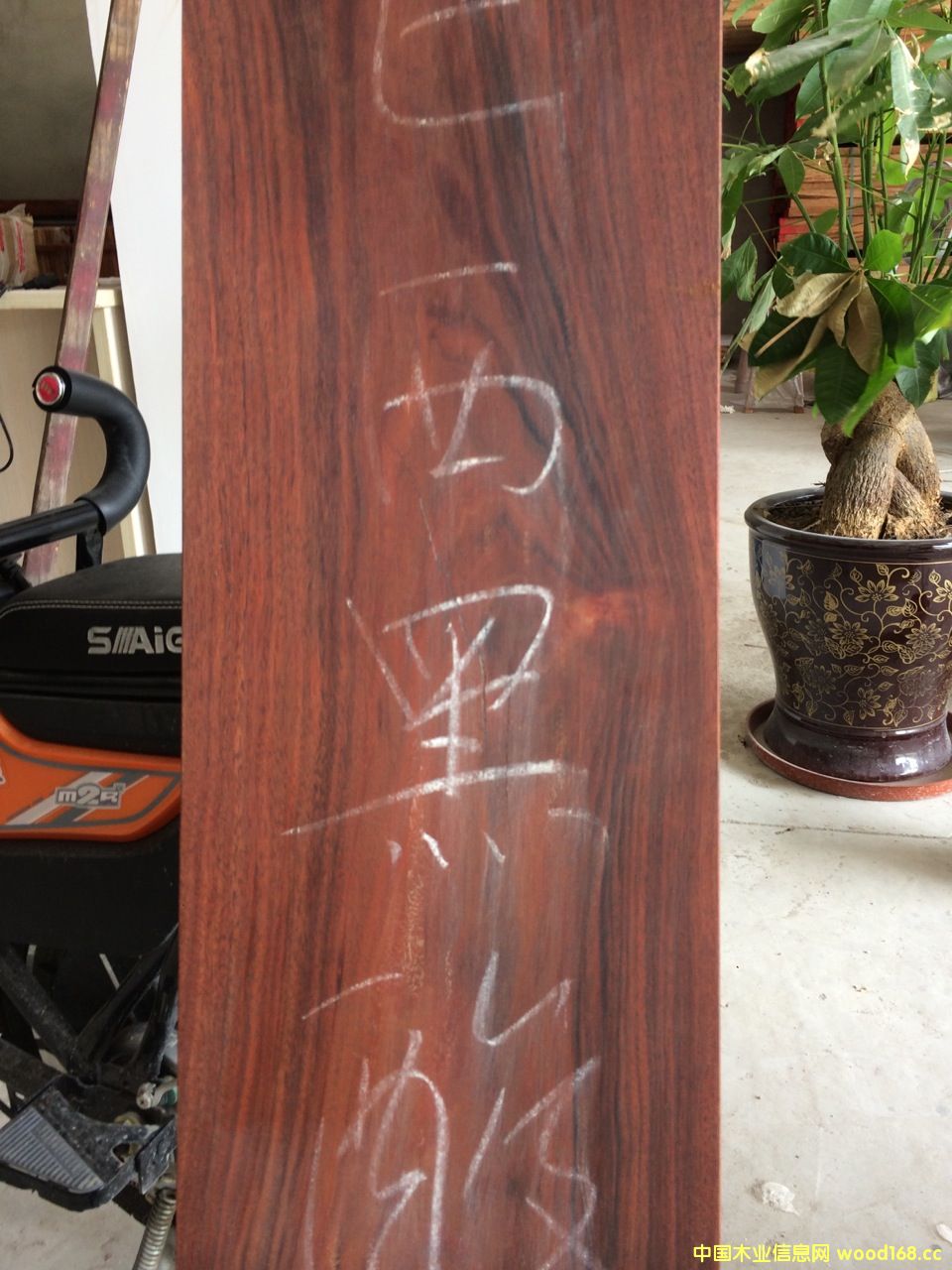 ��������֦ľԭľ��Ԕ��(x��)��B