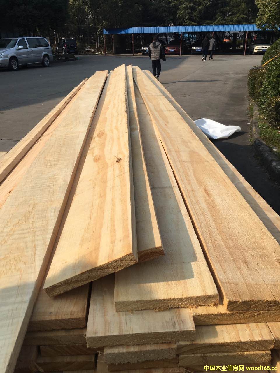 �����mݗ���������ɟo(w��)��(ji��)�ĵ�Ԕ��(x��)��B