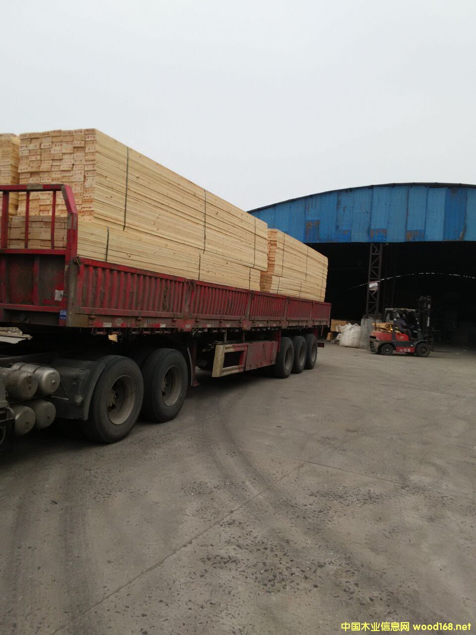 [��] ���ӹ����NҎ(gu��)��ҾߏS����